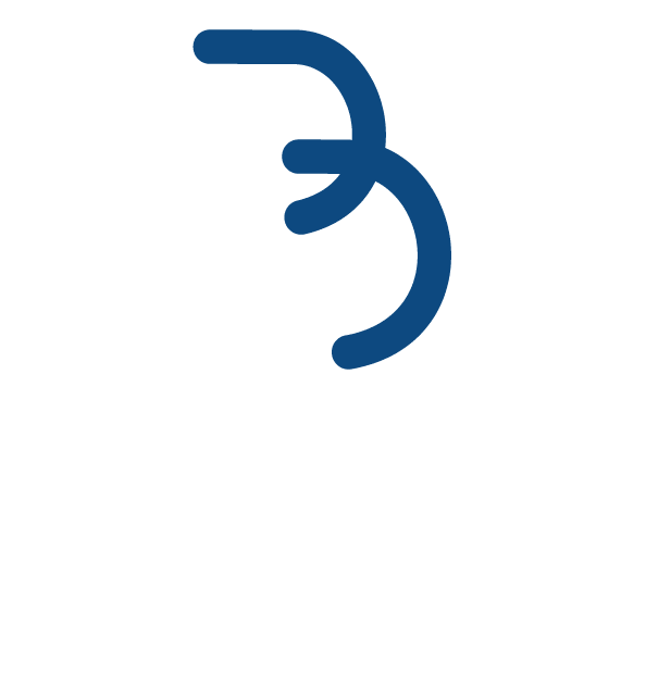 Logo grpo Bryce